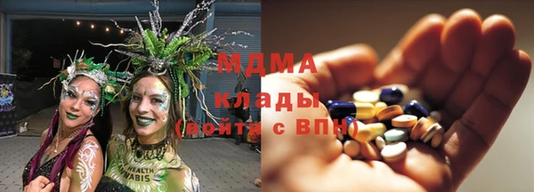 ГАЛЛЮЦИНОГЕННЫЕ ГРИБЫ Алексин
