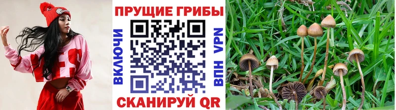 хочу наркоту  МЕГА ССЫЛКА  Псилоцибиновые грибы Cubensis  Мантурово 